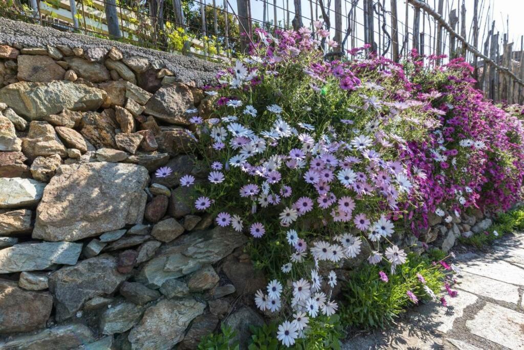 La Casa Di Sandra A Noli Villa Dış mekan fotoğraf