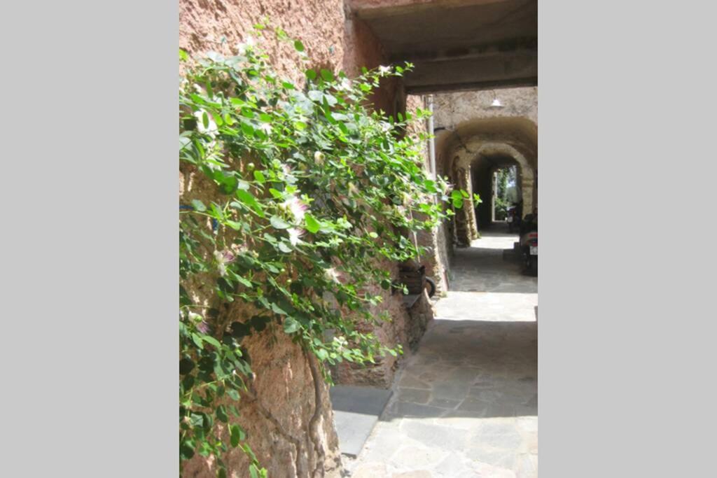 La Casa Di Sandra A Noli Villa Dış mekan fotoğraf