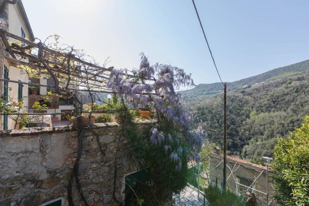 La Casa Di Sandra A Noli Villa Dış mekan fotoğraf