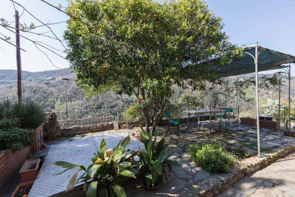 La Casa Di Sandra A Noli Villa Dış mekan fotoğraf