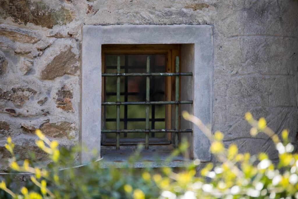 La Casa Di Sandra A Noli Villa Dış mekan fotoğraf